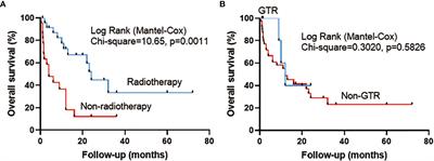 Primary Squamous Cell Carcinomas Arising in Intracranial Epidermoid Cysts: A Series of Nine Cases and Systematic Review